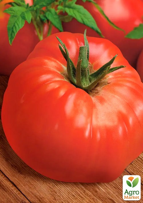 На развес Томат "Брендивайн" ТМ "Весна" цена за 1г - фото 2