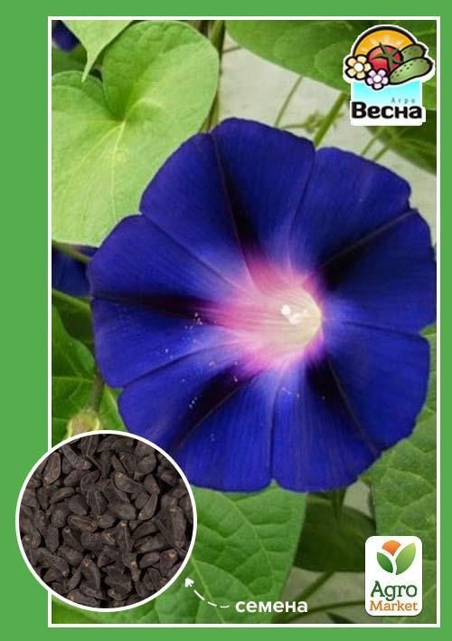 Ипомея "Синяя звезда" ТМ "Весна" 0.5г