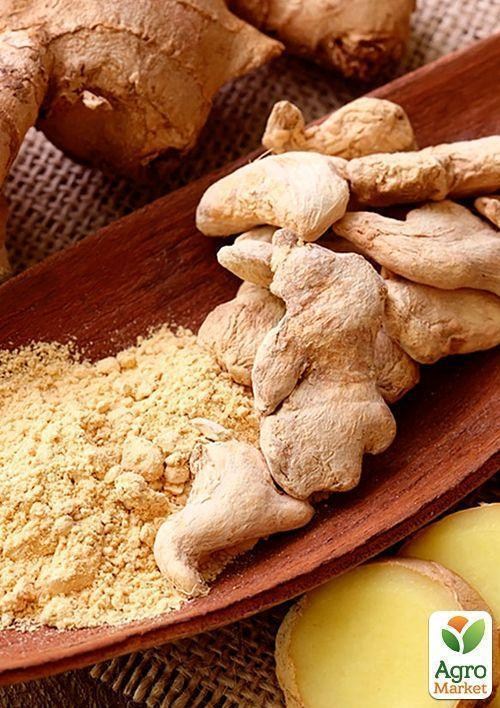 Імбир "Народна мудрість" ТМ "Vesna Exclusive" 10шт - фото 6