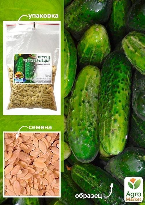 Огурец "Чернобрывцы" ТМ "Весна" 100г