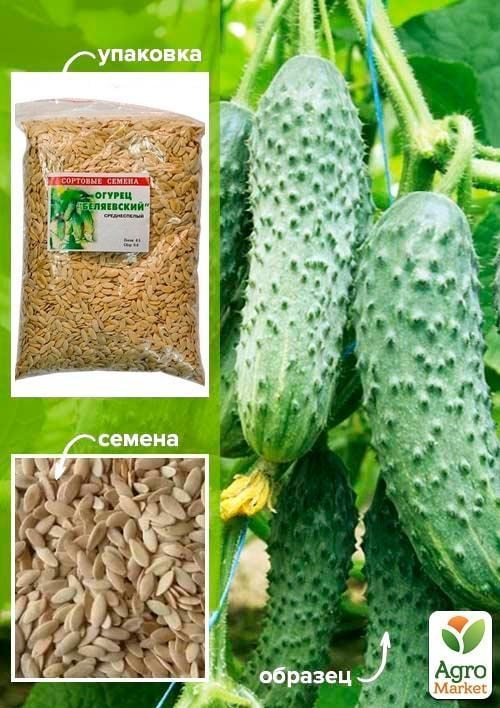 Огурец "Беляевский" ТМ "Весна" 500г