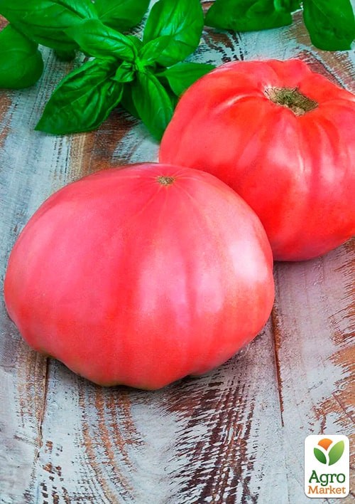 На развес Томат "Миллионер" ТМ "Весна" цена за 1г - фото 2