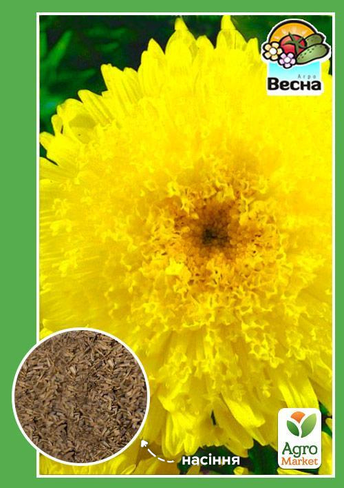 Айстра "Коріна" ТМ "Весна" 0.2г