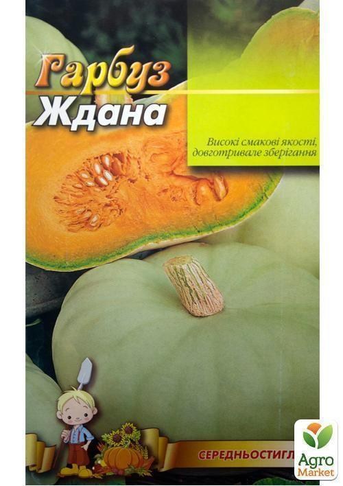 Гарбуз "Ждана" (Великий пакет) ТМ "Весна" 8г - фото 2