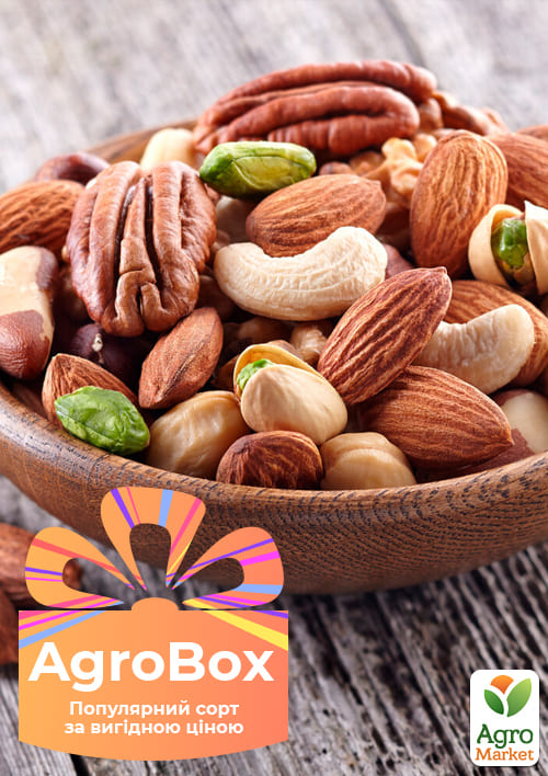 Ексклюзив! AGROBOX з саджанцем великоплідного горіха