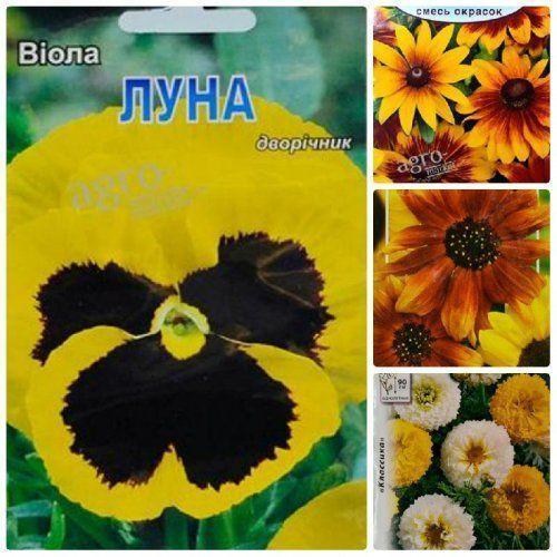 Комплект насіння квітів "Лучики сонця" 5уп