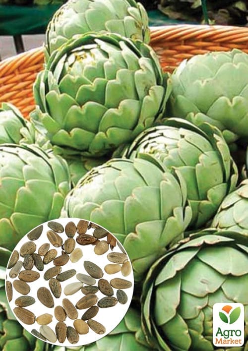 Артишок "Зеленый глобус" (зипер) ТМ "Весна" 0,5г