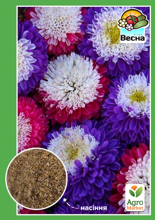 Астра "Помпонная" смесь окрасок ТМ "Весна" 0.2г