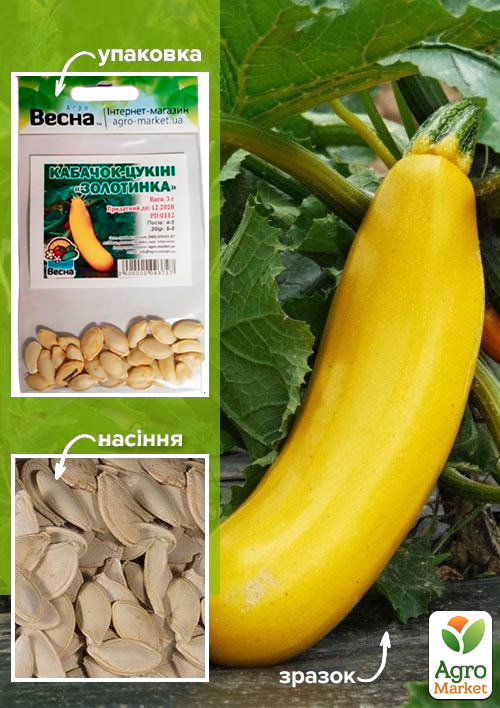Кабачок-цукіні "Золотинка" (Зипер) ТМ "Весна" 3г