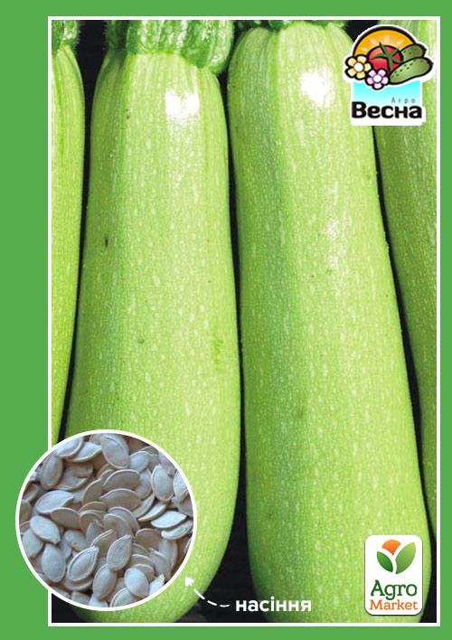 Кабачок "Ленуца F1" ТМ "Весна" 2г