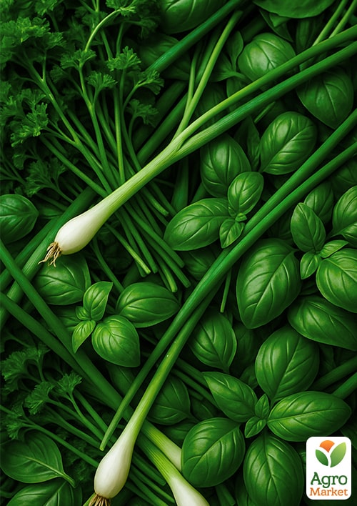 Насіння зелені "Мікс сортів" ТМ "Весна"