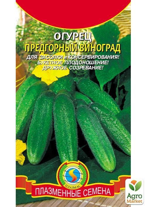 Огурец "Предгорный виноград F1" ТМ "Плазменные семена" 10шт