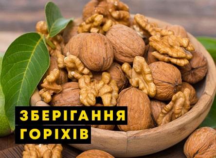 Как правильно хранить грецкие орехи