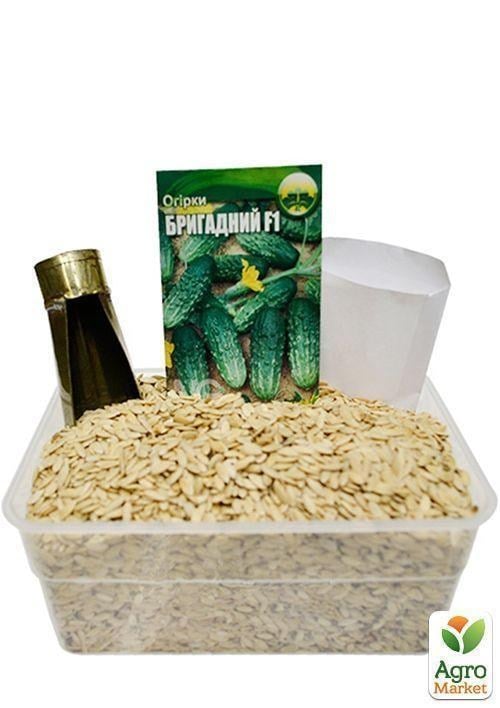 На вагу Огірок "Бригадний" ТМ "Весна" ціна за 2г - фото 2