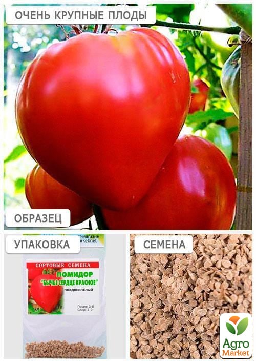 Томат "Бычье сердце красное" (Зипер) ТМ "Весна" 0.5г