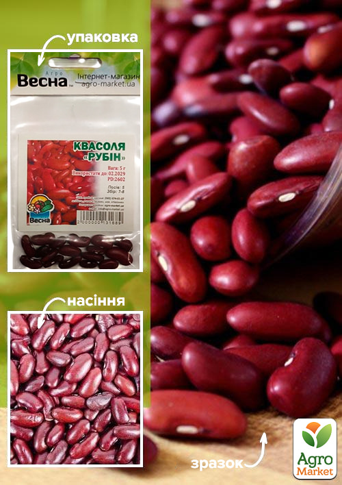Квасоля "Рубін" (Зипер) ТМ "Весна" 5г