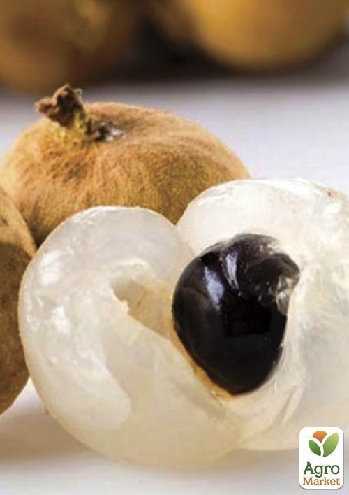 Лонган "Жемчужина" ТМ "Vesna Exclusive" 2шт