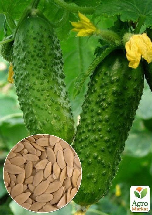 На развес Огурец "Нежинский" ТМ "Весна" цена за 5г