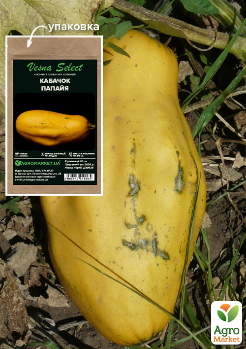 Кабачок "Папайя" ТМ "Vesna Select" 10шт