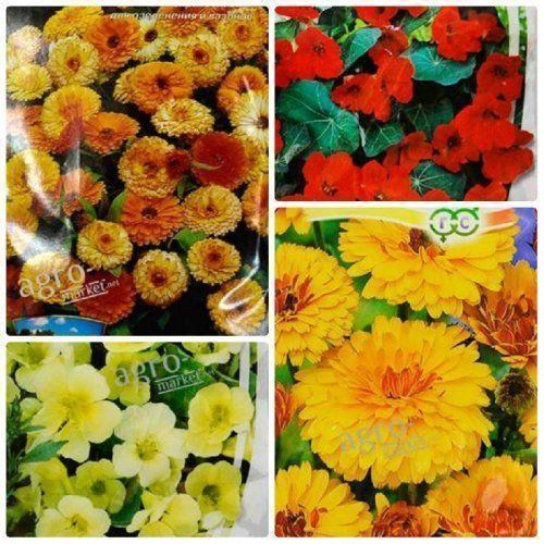 Комплект семян цветов "Цветочная романтика" 25уп