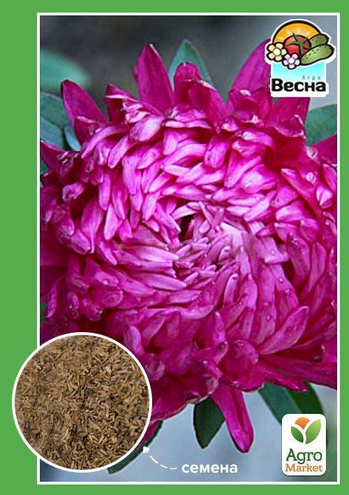 Айстра "Верона" ТМ "Весна" 0.2г