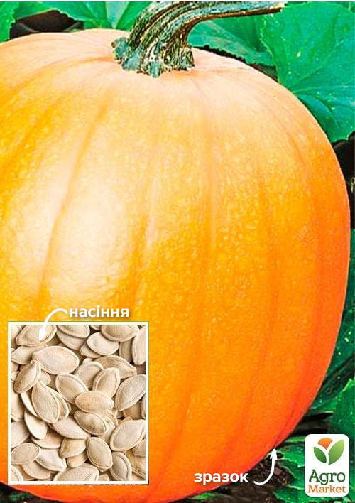 Тыква "Кустовая оранжевая" ТМ "Весна" 100г