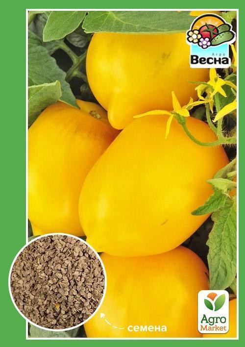 Томат "Чудо света" ТМ "Весна" 0.1г
