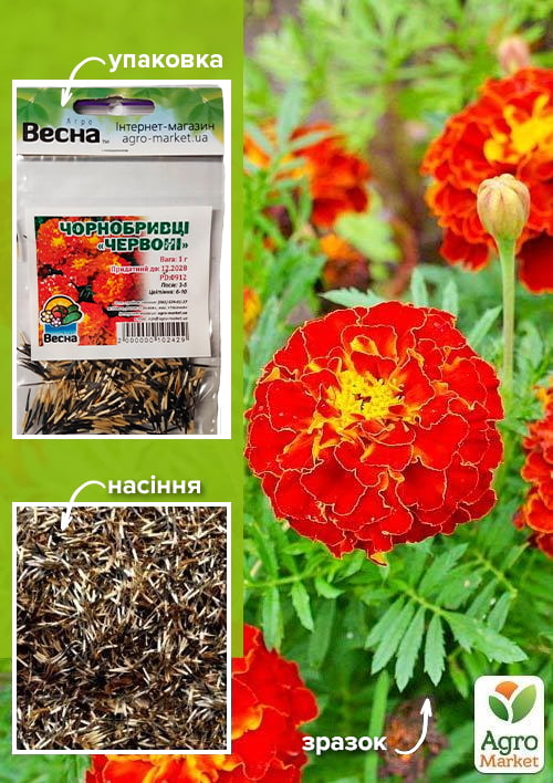 Чорнобривці "Червоні" (Зипер) ТМ "Весна" 1г