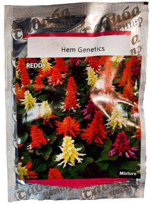 Сальвія "Редді суміш" ТМ "Садиба центр" 100шт