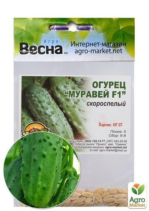 Огурец "Муравей F1" (Зипер) ТМ "Весна" 10шт - фото 2