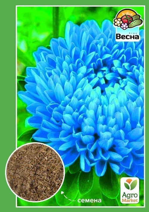 Астра "Пионовидная голубая" ТМ "Весна" 0.2г