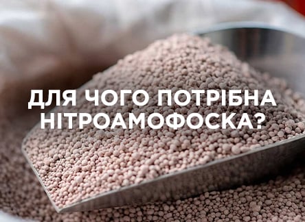 Нитроаммофоска: состав и польза удобрения