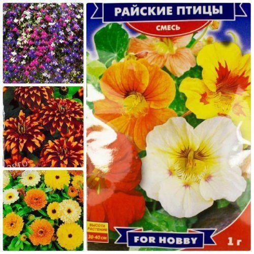 Комплект насіння квітів "Запахло весной" 15уп