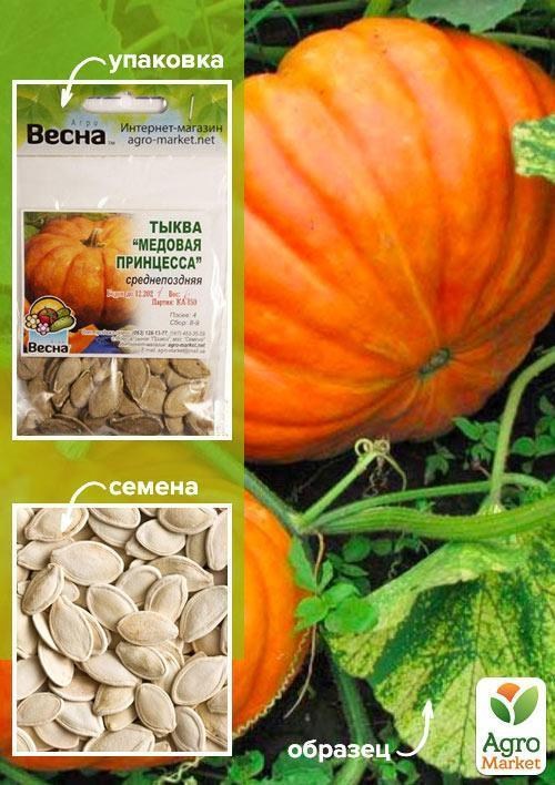 Тыква "Медовая принцесса" (Зипер) ТМ "Весна" 6г