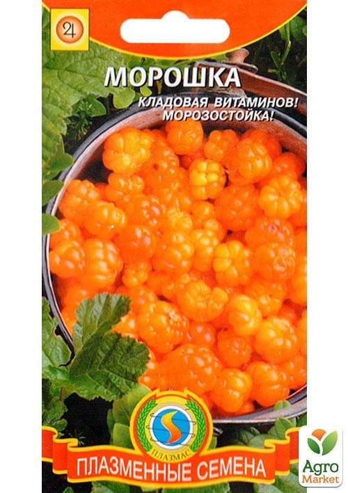 Морошка морозостійка "Комора вітамінів" ТМ "Плазмові насіння" 8шт NEW