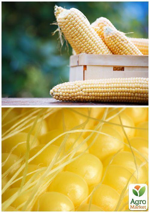 На вагу Кукурудза "Бондюель" ТМ "Весна" ціна за 40г - фото 3