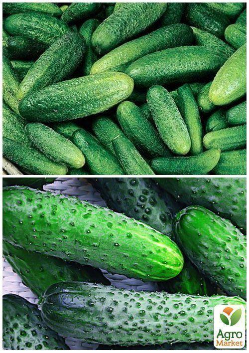 На вагу Огірок "Суміш F1" ТМ "Весна" ціна за 2г - фото 6