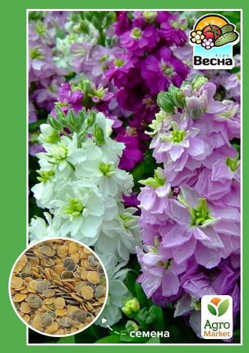 Левкой "Седой" ТМ "Весна" 0.3г