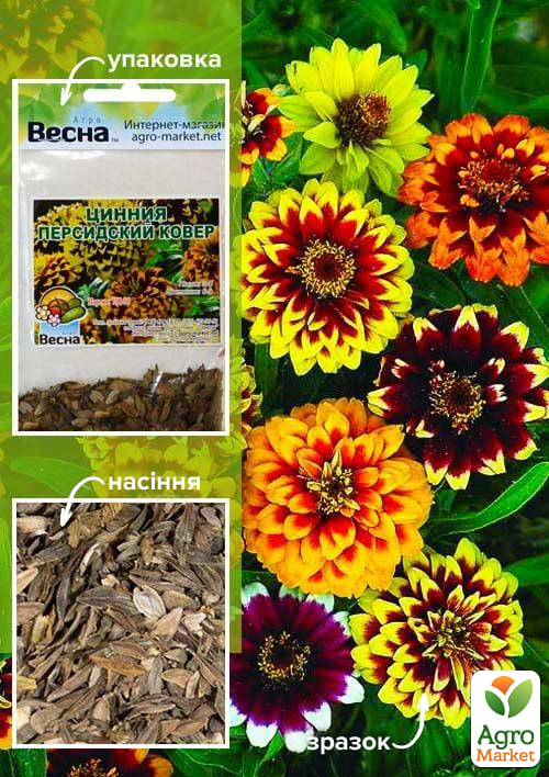 Цинія "Перський килим" (Зипер) ТМ "Весна" 2г