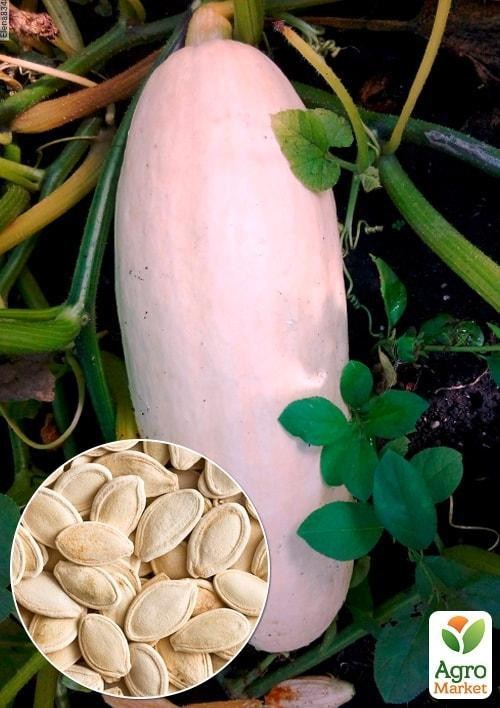 На развес Тыква "Розовый деликатес" ТМ "Весна" цена за 10г