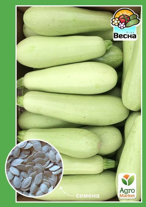Кабачок "Акробат" ТМ "Весна" 2г