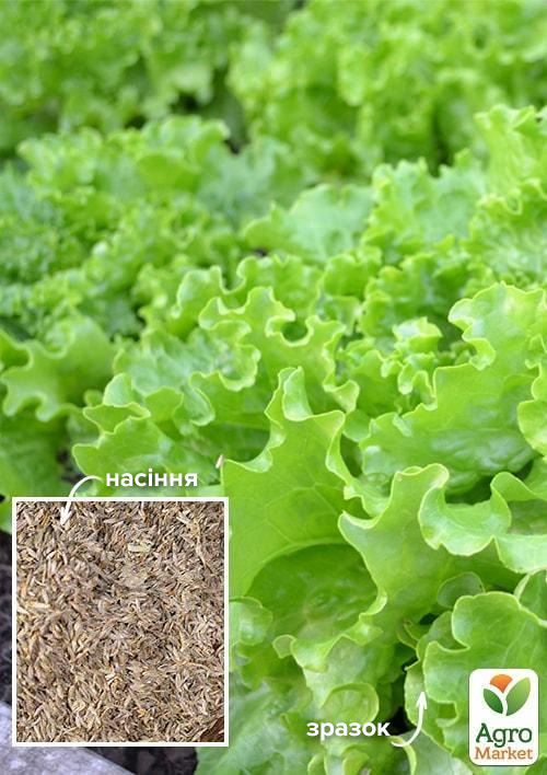 На развес Салат "Геркулес" ТМ "Весна" цена за 8г