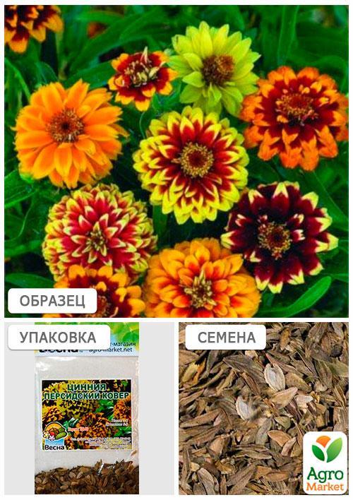 Цинія "Перський килим" (Зипер) ТМ "Весна" 2г - фото 4