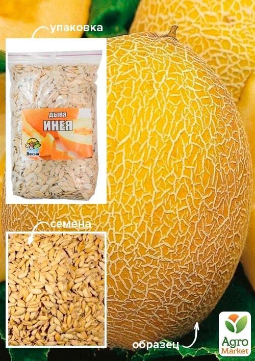 Диня "Інея" ТМ "Весна" 100г
