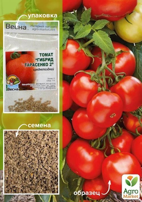 Томат "Гибрид Тарасенко 2" (Зипер) ТМ "Весна" 0.5г