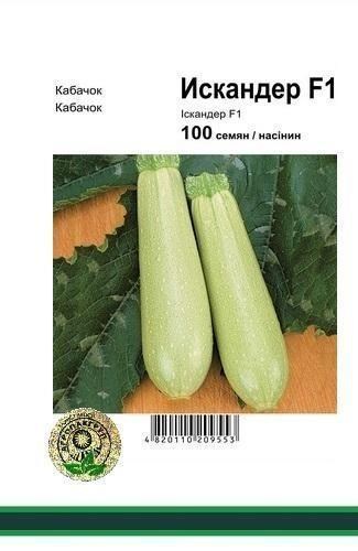 Кабачок "Искандер F1" ТМ "Nunhems" 100шт