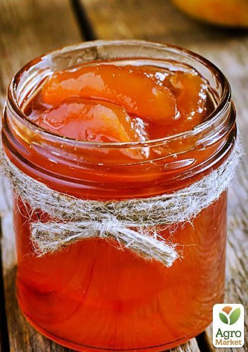 Яблоня "Голдпет" - фото 3