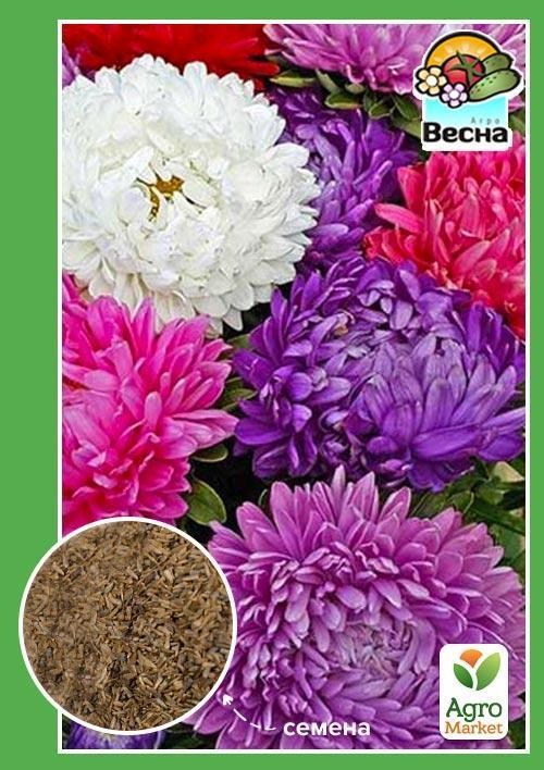 Астра "Американская красавица" ТМ "Весна" 0.2г