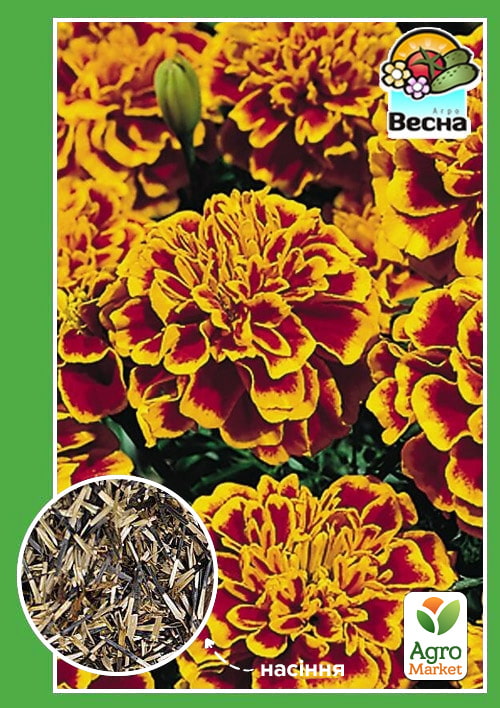 Чорнобривці "Фієста" ТМ "Весна" 0.3г