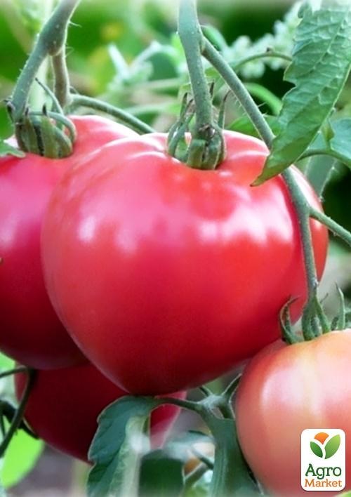 Томат "Рожеве серце" ТМ "Vesna Select" 0.2г